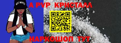 дмт Гай