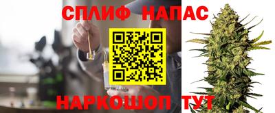 дмт Гай