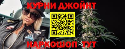 дмт Гай