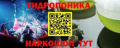 дмт Гай