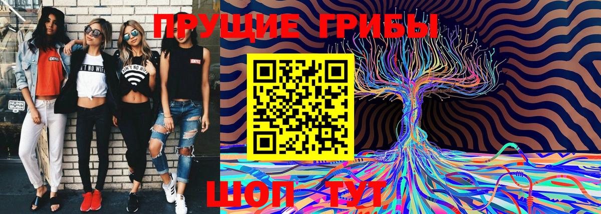Жигулёвск  Псилоцибиновые грибы прущие грибы  Вход с VPN 