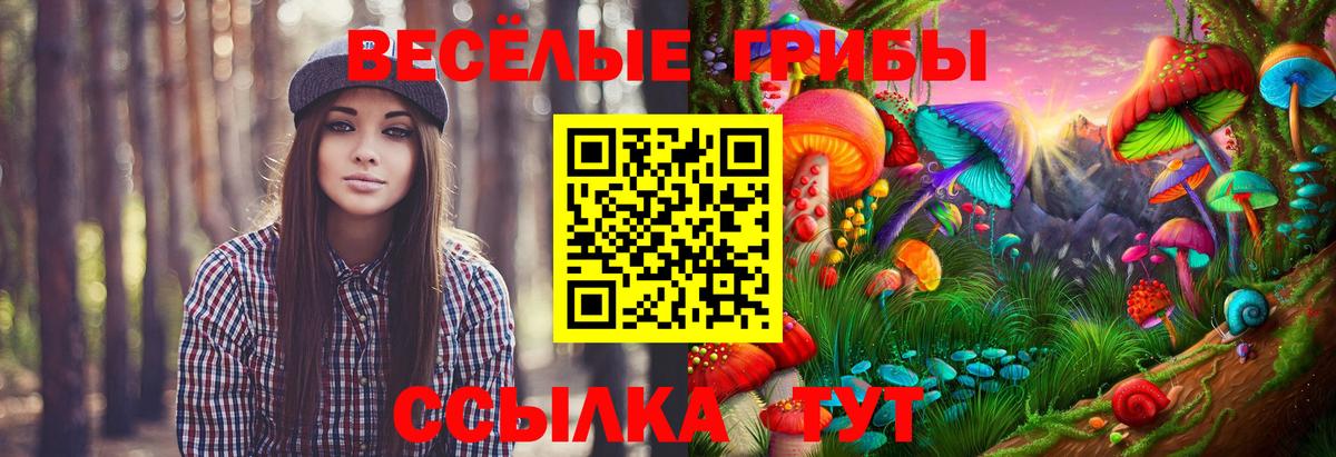 Псилоцибиновые грибы Psilocybine cubensis Жигулёвск