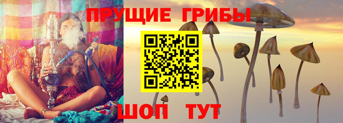Галлюциногенные грибы Psilocybine cubensis Жигулёвск